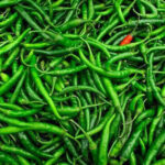 green-chilli-1