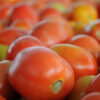 tomato-1